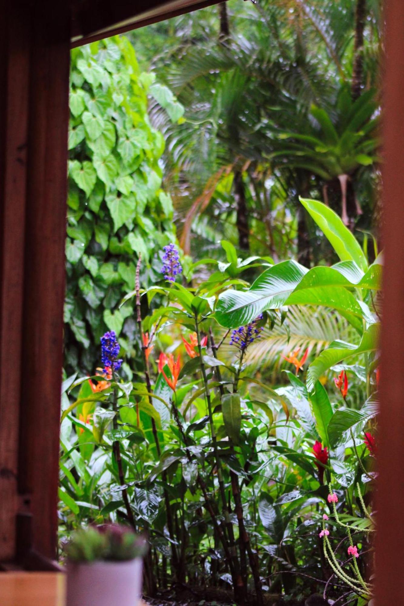 Sueno Rio Celeste Boutique B&B Bijagua Dış mekan fotoğraf